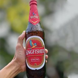 Kingfisher 1
